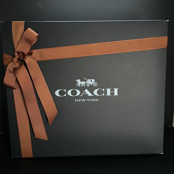 NWT Coach Fall Pumpkin Bag Orange Runway Leather Purse Zippered Case NYFW Handle - Picture 5 of 14